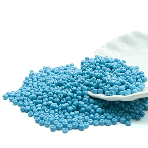 4mm Seed Bracelet Beads for Jewelry Making, 1000 Pcs Pony Beads Bulk for DIY Bracelet Earring Necklace Craft Supplies (Sky Blue) - color: Sky Blue