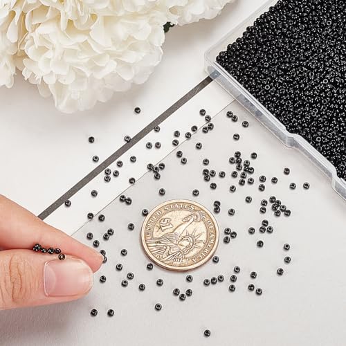 PH PandaHall Black Seed Beads, 6000 Pcs 11/0 Glass Seed Beads 2mm Round Waist Bead Mini Spacer Bead for Earrings Bracelet Necklaces Eyeglass Chain Jewelry DIY Crafts Making - color: Black-6000 Pcs
