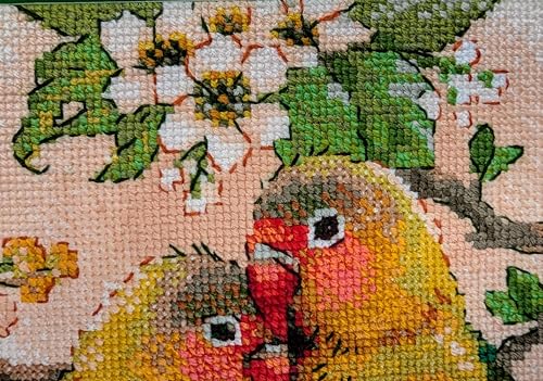 RIOLIS 1780 Lovebirds Counted Cross Stitch Kit 7.75 x 7.75 in - style: Lovebirds 1780