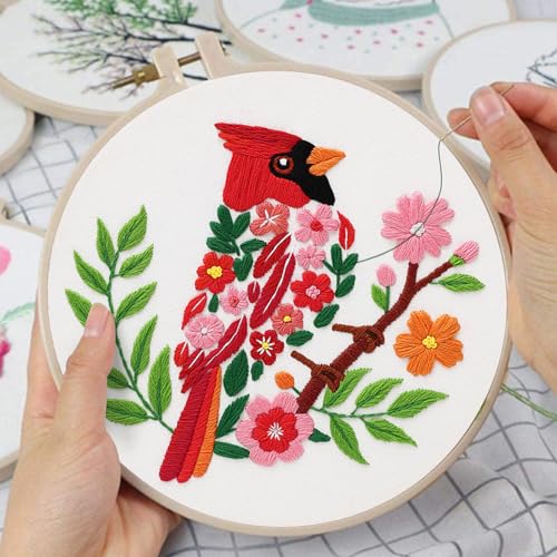 Louise Maelys Cardinal Embroidery Kit, Cross Stitch Kit for Beginne - color: birds