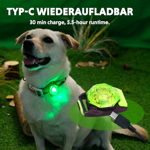 LaRoo Dog Collar Light, 13g Ultra-Light USB Rechargeable LED Dog Lights, IPX6 Waterproof 3 Modes Clip-On Pet Safety Light for Night Walking, Hiking & Camping -Green - color: Green-B