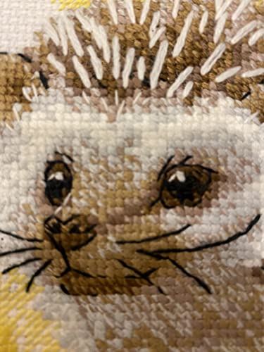 RIOLIS 2093 Forest Dweller Counted Cross Stitch Kit 6 x 7 in - style: Forest Dweller 2093
