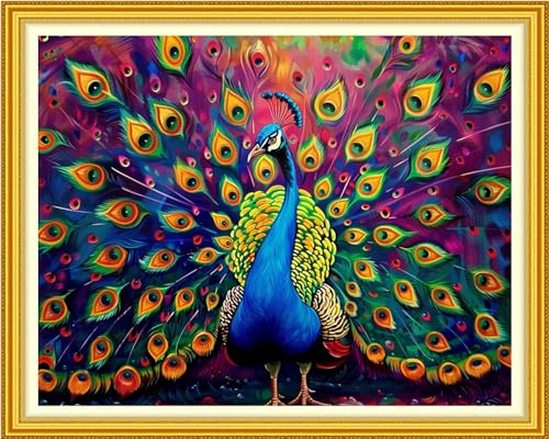 Funchey Stamped Cross Stitch Kits, DIY Cross Stitch Pattern for Adults Beginners Needlepoint Kits Embroidery Kit Arts and Crafts 11CT-Colorful Peacock 16x20 inch - color: Handicraft patterns04