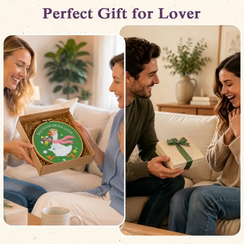Louise Maelys 3 Pack Embroidery Kit for Beginners, Fun Silly Goose Design - color: Silly Goose