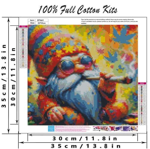 DYAIANGMU Gnome Stamped Cross Stitch Kit for Adults 13.7x13.7 inches - color: Y122