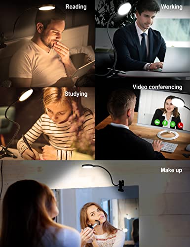 LiFMIRA Clip on Lamp, 8W 66 LED Bed Light for Reading, 5 Color Modes, 10 Brightness Levels, Eye Care, Flexible Gooseneck, Metal Clamp, USB Powered, Modern Design, Black - color: Matte Black