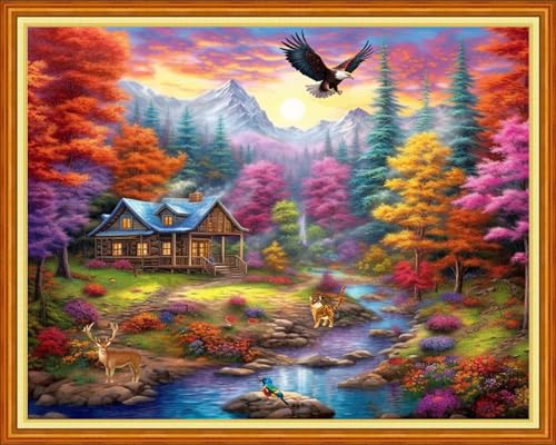 Dimensean Stamped Cross Stitch Kits Full Range of Embroidery Patterns Starter Kits for Beginners Adult DIY Cross Stitches Needlepoint Kits 11CT-Dream Home 16x20 inch - color: Craftpattern50