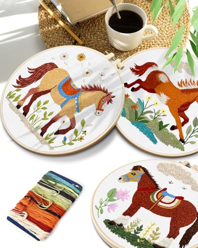 TINDTOP Embroidery Kit for Adult, 3 Pack Embroidery DIY Starter Kit - color: Horse