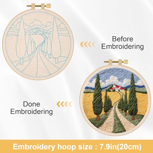 LACHLAND Punch Needle Kit for Beginners, Village Punch Embroidery DIY Craft Supplies with Hoop Yarn & Tool Handmade Wall Art Gift for Adults Teens Seniors Hobby - color: Village