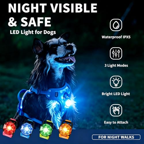 LaRoo Dog Collar Light, 13g Ultra-Light USB Rechargeable LED Dog Lights, IPX6 Waterproof 3 Modes Clip-On Pet Safety Light for Night Walking, Hiking & Camping -Green - color: Green-B