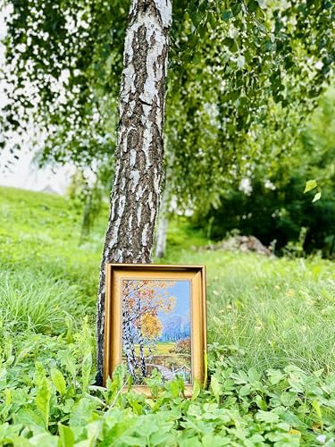 RIOLIS 1134 Birches Counted Cross Stitch Kit 10.24 x 14.96 in