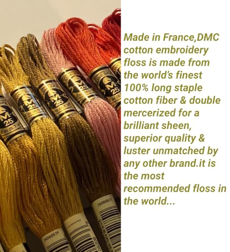 DMC Embroidery Floss Holiday Pack Bundle with Hand Needles Size 1-5.