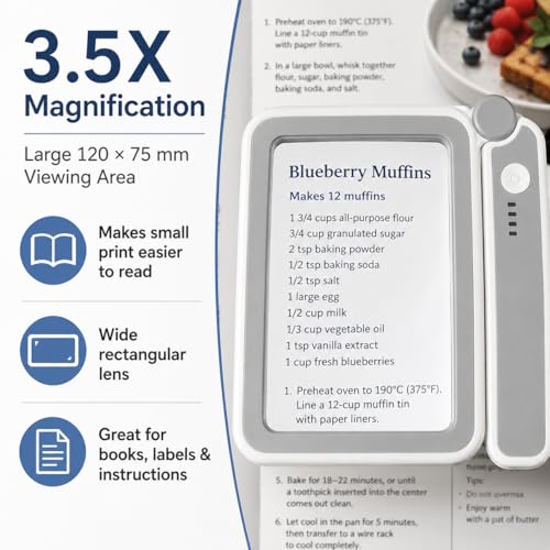TECHSHARE 4X Rechargeable Magnifying Glass with Light, Large Rectangular Glass Lens, 10 LEDs, 3 Brightness Levels, USB-C Foldable Magnifier for Reading Books, Bible, Small Print, Seniors