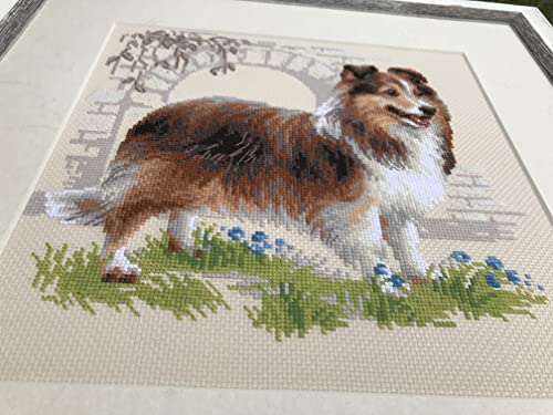 RIOLIS 1710 Sheltie Counted Cross Stitch Kit 9.84 x 9.84 in