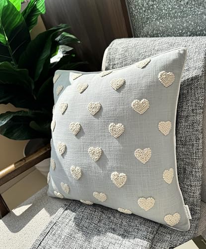 VAGMINE Embroidered Tufted Heart 18x18 Throw Pillow Cover, Robins Egg - color: Robins Egg-french Knots, size: 18" x 18" (Pack of 1)