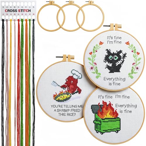 Daifunli 3 Sets Funny DIY Embroidery Kits for Beginners Adults - style: Classic