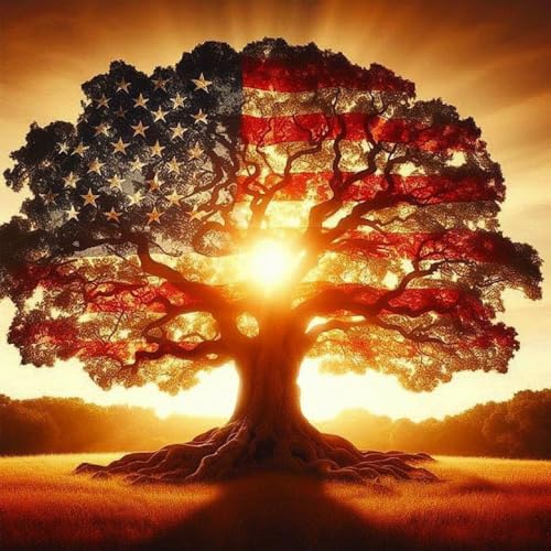 niurenmaoyi Stamped Cross Stitch Kits for Beginners,Counted Embroidery Craft Kits for Adults,Needlepoint Kits for Adults,American Flag Wall Art 13.8X13.8In - color: Cross Stitch Kits1215-01