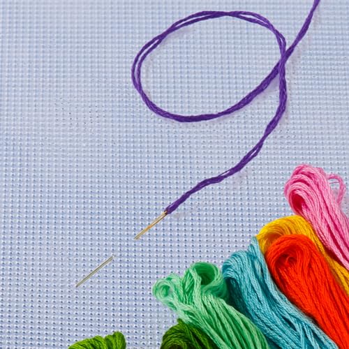 6 PCS 14 Count Plastic Mesh Canvas Sheets, 11x8.2 inch Plastic Cross Stitch Canvas for Cross Stitch, Embroidery, Knit,Crochet DIY Projects and Embroidery Making (Clear) - color: transparent