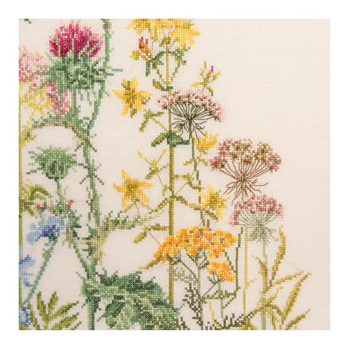 Thea Gouverneur - Counted Cross Stitch Kit - Herbs - Aida - 18 Count - Embroidery Kits for Adults - Crafts - DMC Embroidery Threads and Other Cross Stitch Supplies Included - 424A - color: 424A Aida