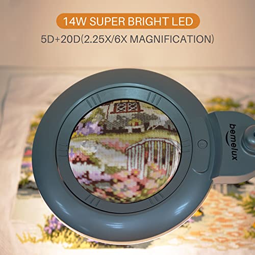 Bifocal Magnifying Lamp with Clamp, 5D with 20D, Silver - color: Silver