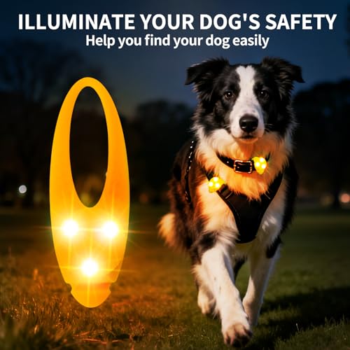 LaRoo Dog Lights for Night Walking, LED Dogs Collar Lights for Nighttime Clip On Light up Dog Collar Pet Camping Essentials （Orange） - color: Orange-A