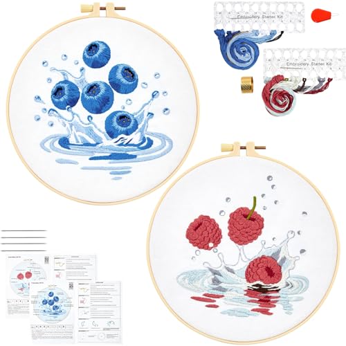 Armindou 2Set Embroidery Kits with Fruit Pattern for Beginners Adults, Hand Embroidery Needlepoint DIY Kits, Stamped Cross Stitch Kits for Beginners Adult, 2 Embroidery Hoops (Attached Video Tutorial) - color: Blue and Red, size: 8inch