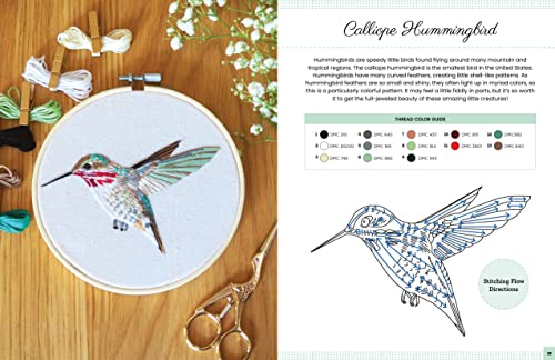 Embroidery Made Easy: Beautiful Birds: Easy techniques for learning to embroider a variety of colorful birds, including a cardinal, a barn owl, and a puffin