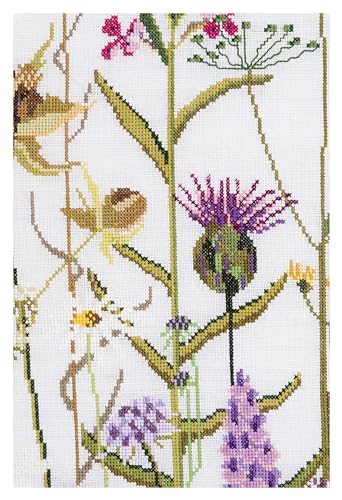 Thea Gouverneur - Counted Cross Stitch Kit - Wild Flowers - Aida - 16 Count - Embroidery Kit for Adults - DMC Embroidery Threads and Other Cross Stitch Supplies Included - 821A - color: 821A Aida