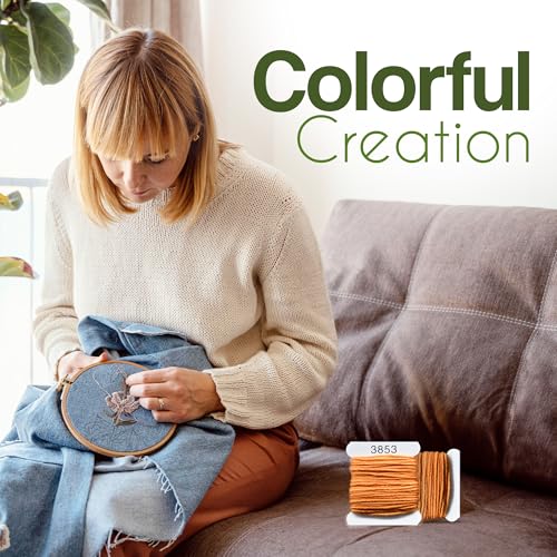 Embroidery Floss Kit and Refills - Cotton Threads - DMC Color Coding for Cross Stitch, String Crafts, Friendship Bracelets - color: 3353 Amber