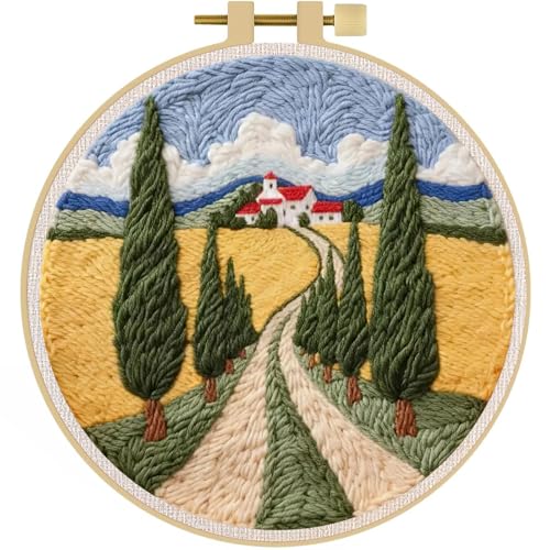 LACHLAND Punch Needle Kit for Beginners, Village Punch Embroidery DIY Craft Supplies with Hoop Yarn & Tool Handmade Wall Art Gift for Adults Teens Seniors Hobby - color: Village
