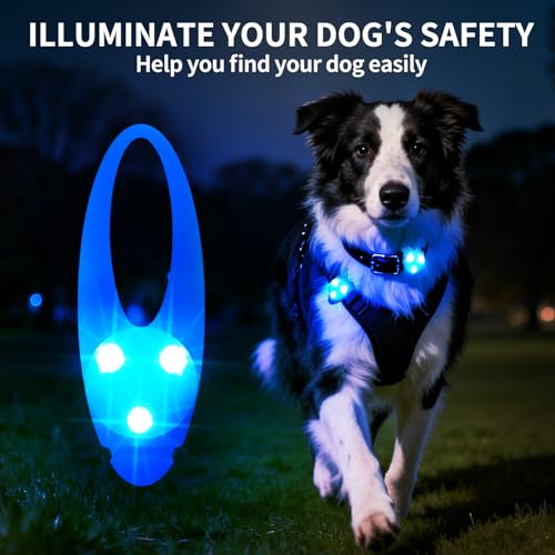 LaRoo LED Dog Collar Light - Waterproof Clip-On 3 Modes, High Visibility for Night Walking/Camping, Pet Safety Light for Small/Medium/Large Dogs (Blue) - color: Blue-A
