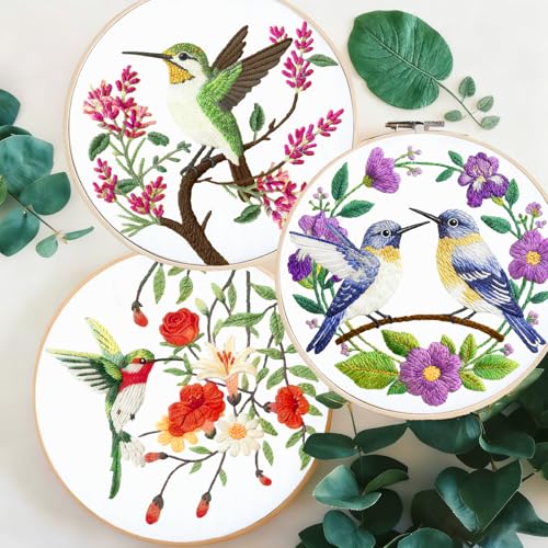 BEUNITONE 6 Set Hummingbird Starter Embroidery Kit with Pre-Stamped Pattern - style: Hummingbird