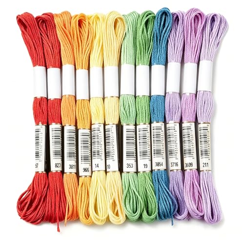Embroidery Thread & Floss, 20-Color Set 8 Meters/Skein (160M Total), 6-Strand for Friendship Bracelets, Cross Stitch & DIY Supplies-Rainbow Color - color: Rainbow, size: 20 Color