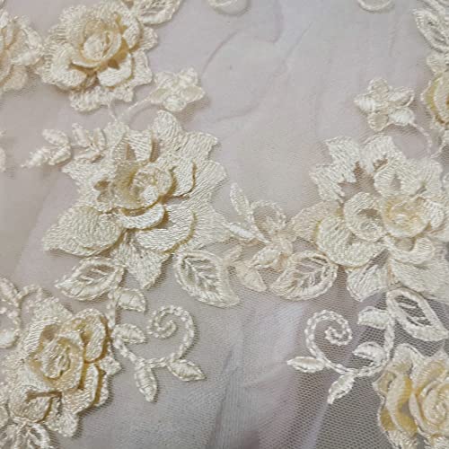 2 Pair 29x13cm Red/Pink/Purple/Sky Blue Wedding Dress Lace Shirt Accessories Embroidery Lace Garment Design DIY Accessories (Champagne) - color: Champagne