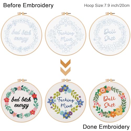 Louise Maelys 3 Pack Funny Quote Embroidery Kit for Beginners Floral - color: kit-18