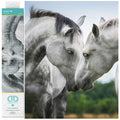 DIAMOND DOTZ Sweet Talk Horse Diamond Painting Kit for Adults with Gems