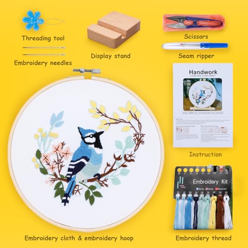 Hummingbird and Flower Embroidery Kit for Adults, DIY Embroidery Kits with Original Design Patterns, Learn to Embroider Kit Beginner with Needles and Thread, Clear Instructions and Video (BEB004) - color: birds red