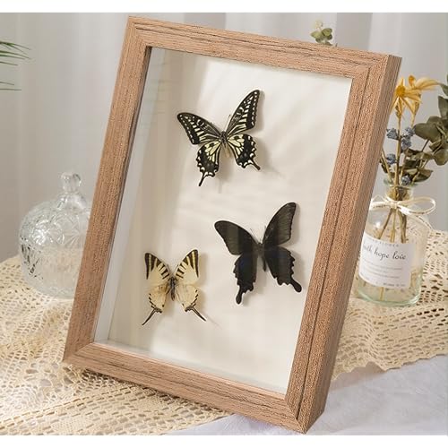 2 Pack Shadow Box Frame 8x10 Shadow Box Display Case Original Wood Picture Frames Glass Surface Internal Depth 0.6 inch for Wall Or Tabletop - color: Dark Wood, size: 8x10 inch