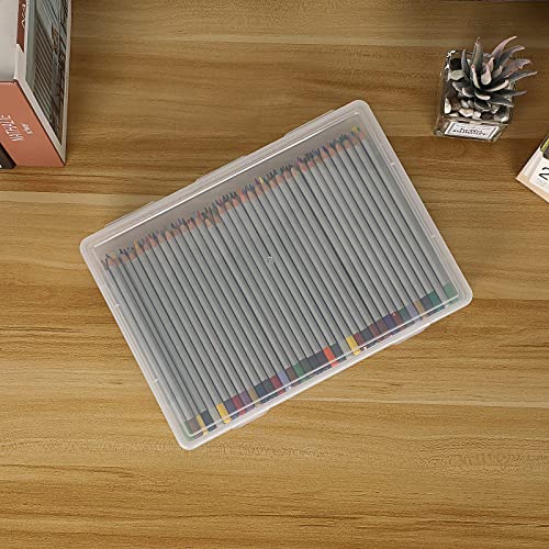 BTSKY Clear Plastic Storage Box with Flap Lid,2 Pack Medium-10.8"x7.9"x2.1" - size: Medium-2 Pack