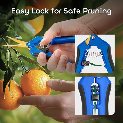 GROWNEER 6 Packs 6.5 Inch Pruning Shears with Curved Blades Trimming Scissors For Gardening Hand Pruning Snips Titanium Coated Precision Blades - style: Blue