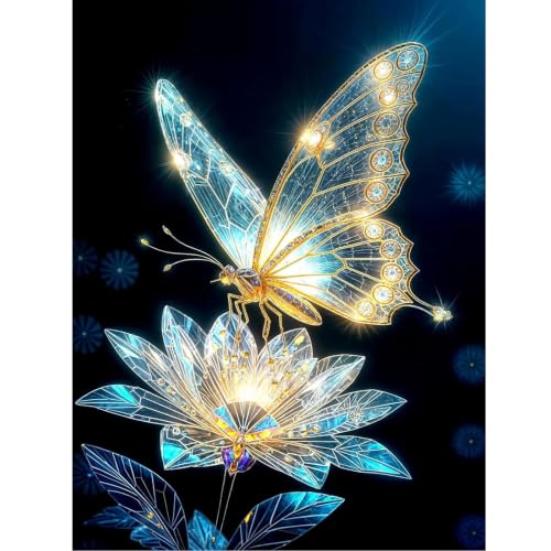 Light and Butterfly Stamped Cross Stitch Kits for Adults, 11CT Needlepoint Counted Cross Stitch Kits for Beginner, Printed Dimensions Embroidery Kit Art Craft for Home Wall Decor 12x16 Inch - color: SZXY004-US