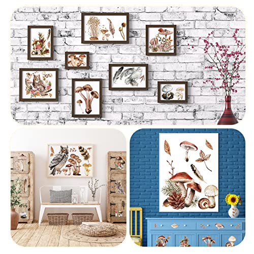 BBTO 12 Sheets Rub on Transfers for Crafts Wood Furniture DIY, 5.5" x 5.7" - style: Mushroom
