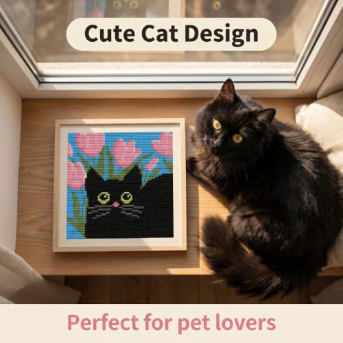 Black Cat Stamped Cross Stitch Kits for Beginners Adults with Framed - color: DKJ016