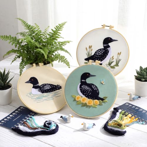Mindsoft 3 Set Needlepoint Kit for Beginners with Hoop,Loon - style: Loon