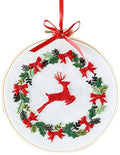 Embroidery Kit Red Christmas Deer Flowers Wreath Awesocrafts Full Range of Embroidery Starter Kits for Beginners Adults Kids DIY Handmade Easy Patterns (Red Deer) - color: Red Deer