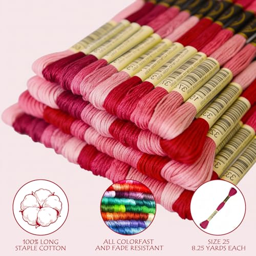 Premium Rainbow Color Embroidery Floss - Cross Stitch Threads - Friendship Bracelets Floss - Crafts Floss - 14 Skeins Per Pack Embroidery Floss, Cranberry Gradient - color: Cranberry Gradient