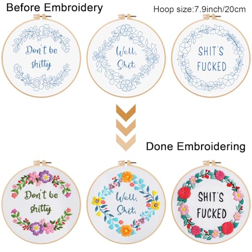 Louise Maelys 3 Sets Funny Embroidery Kits for Beginners - color: kit-12