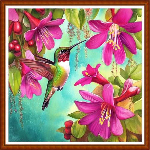 Funart Stamped Cross Stitch Kits for Beginners Full Range of Cross Stitching Preprinted Embroidery Kits for Adults, 11CT Embroidery Pattern Needlepoint Kits-Hummingbirds Collect Honey 18x18 inch - color: ColorArt58