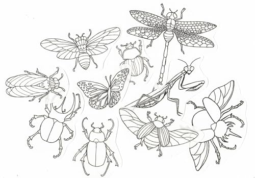Water Soluble Embroidery Patterns Stabilizers, Stick and Stitch Embroidery Transfers Paper Tear Away Embroidery Stabilizer with Fun Designs for Stitching, Flowers and Animals (Beetles N Bugs) - color: Beetles N Bugs