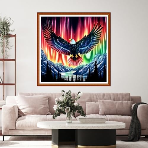 Funart Stamped Cross Stitch Kits for Beginners Full Range of Cross Stitching Preprinted Embroidery Kits for Adults, 11CT Embroidery Pattern Needlepoint Kits-Aurora Eagle Landscape 18x18 inch - color: ColorArt60